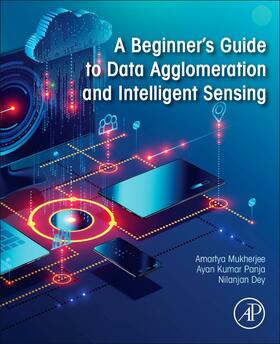 Mukherjee / Kumar Panja / Dey |  A Beginner's Guide to Data Agglomeration and Intelligent Sensing | Buch |  Sack Fachmedien