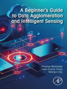 Mukherjee / Kumar Panja / Dey |  A Beginner's Guide to Data Agglomeration and Intelligent Sensing | eBook | Sack Fachmedien