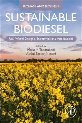 Tabatabaei / Nizami |  Sustainable Biodiesel | Buch |  Sack Fachmedien