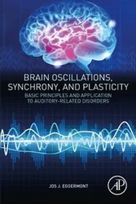 Eggermont |  Brain Oscillations, Synchrony and Plasticity | eBook | Sack Fachmedien