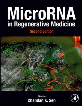 Sen |  Microrna in Regenerative Medicine | Buch |  Sack Fachmedien