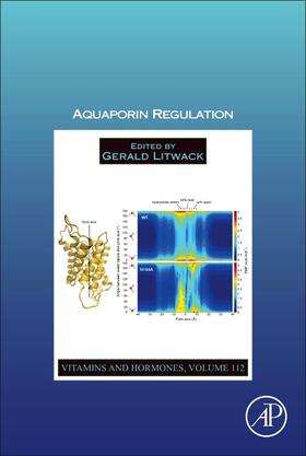 Litwack |  Aquaporin Regulation | Buch |  Sack Fachmedien