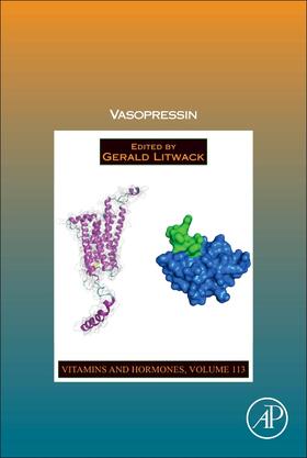 Litwack |  Vasopressin | Buch |  Sack Fachmedien