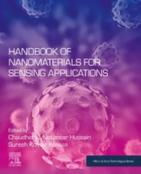 Kumar Kailasa / Mustansar Hussain |  Handbook of Nanomaterials for Sensing Applications | eBook | Sack Fachmedien