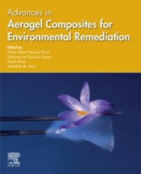 Khan / Ansari / Asiri |  Advances in Aerogel Composites for Environmental Remediation | eBook | Sack Fachmedien