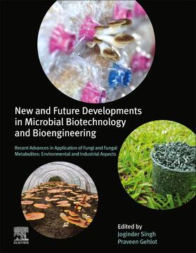 Singh / Panwar / Gehlot |  New and Future Developments in Microbial Biotechnology and Bioengineering: Recent Advances in Application of Fungi and Fungal Metabolites: Environment | Buch |  Sack Fachmedien