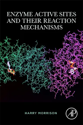 Morrison |  Enzyme Active Sites and their Reaction Mechanisms | Buch |  Sack Fachmedien