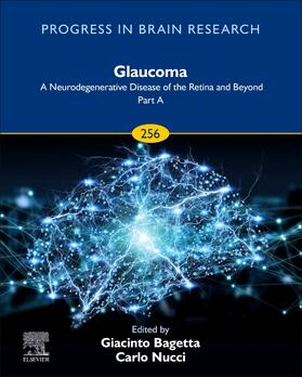  Glaucoma: A Neurodegenerative Disease of the Retina and Beyond: Part A, Volume 256 | Buch |  Sack Fachmedien