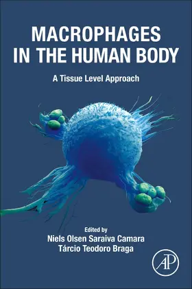 Saraiva Camara / Braga |  Macrophages in the Human Body | Buch |  Sack Fachmedien