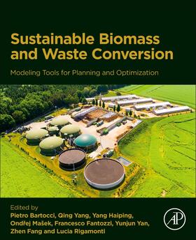 Bartocci / Fantozzi / Yang |  Modeling Tools for Planning Sustainable Biomass and Waste Conversion Into Energy and Chemicals | Buch |  Sack Fachmedien