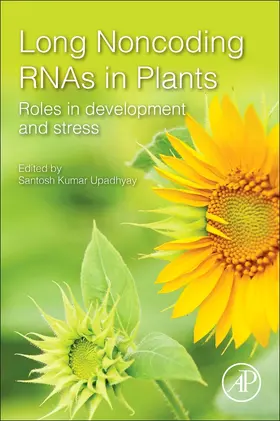 Upadhyay | Long Noncoding RNAs in Plants | Buch | 978-0-12-821452-7 | sack.de