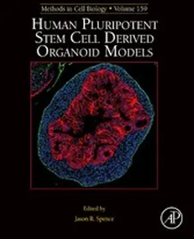 Spence |  Human Pluripotent Stem Cell Derived Organoid Models | eBook | Sack Fachmedien