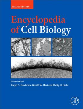  Encyclopedia of Cell Biology | Buch |  Sack Fachmedien