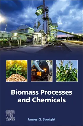 Speight |  Biomass Processes and Chemicals | Buch |  Sack Fachmedien