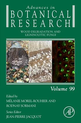  Wood Degradation and Ligninolytic Fungi | Buch |  Sack Fachmedien