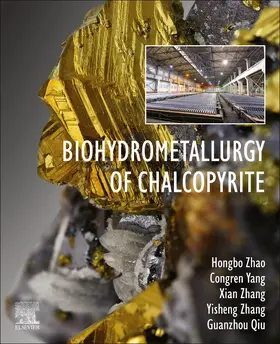 Zhao / Yang / Zhang |  Biohydrometallurgy of Chalcopyrite | Buch |  Sack Fachmedien