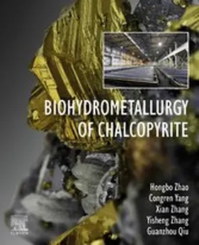 Zhao / Yang / Zhang |  Biohydrometallurgy of Chalcopyrite | eBook | Sack Fachmedien