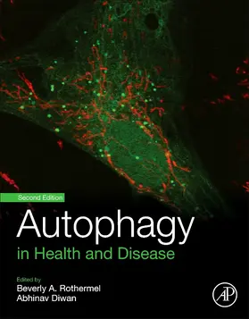 Rothermel / Diwan |  Autophagy in Health and Disease | Buch |  Sack Fachmedien