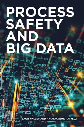 Valeev / Kondratyeva |  Process Safety and Big Data | Buch |  Sack Fachmedien