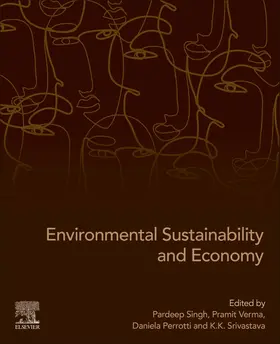 Singh / Verma / Perrotti | Environmental Sustainability and Economy | Buch | 978-0-12-822188-4 | sack.de