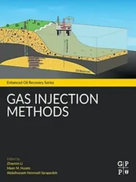 Li / Husein / Hemmati-Sarapardeh |  Gas Injection Methods | eBook | Sack Fachmedien