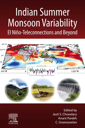 Chowdary / Parekh / Gnanaseelan |  Indian Summer Monsoon Variability | Buch |  Sack Fachmedien