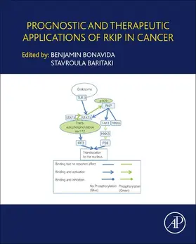 Bonavida / Baritaki |  Prognostic and Therapeutic Applications of RKIP in Cancer | eBook | Sack Fachmedien