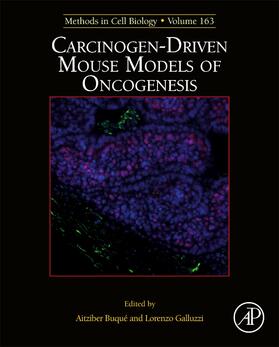  Carcinogen-Driven Mouse Models of Oncogenesis | Buch |  Sack Fachmedien