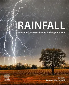 Morbidelli |  Rainfall | Buch |  Sack Fachmedien