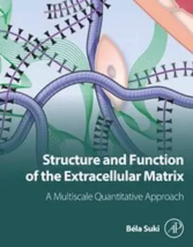 Suki |  Structure and Function of the Extracellular Matrix | eBook | Sack Fachmedien