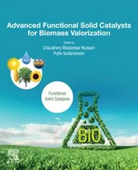 Mustansar Hussain / Sudarsanam |  Advanced Functional Solid Catalysts for Biomass Valorization | eBook | Sack Fachmedien