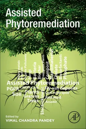 Pandey |  Assisted Phytoremediation | Buch |  Sack Fachmedien