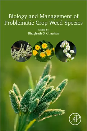 Chauhan |  Biology and Management of Problematic Crop Weed Species | Buch |  Sack Fachmedien