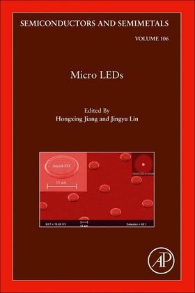  Micro LEDs | Buch |  Sack Fachmedien