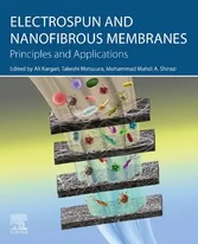 Kargari / Matsuura / Shirazi |  Electrospun and Nanofibrous Membranes | eBook | Sack Fachmedien