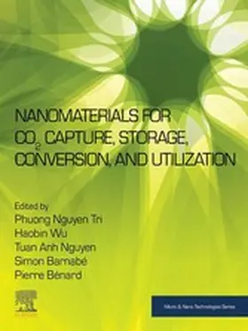 Nguyen Tri / Wu / Barnabe |  Nanomaterials for CO2 Capture, Storage, Conversion and Utilization | eBook | Sack Fachmedien