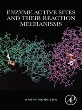 Morrison |  Enzyme Active Sites and their Reaction Mechanisms | eBook | Sack Fachmedien