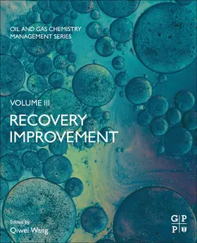 Wang |  Recovery Improvement | Buch |  Sack Fachmedien