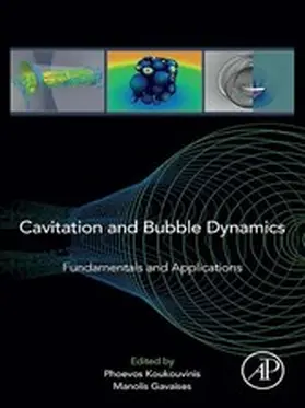 Koukouvinis / Gavaises |  Cavitation and Bubble Dynamics | eBook | Sack Fachmedien