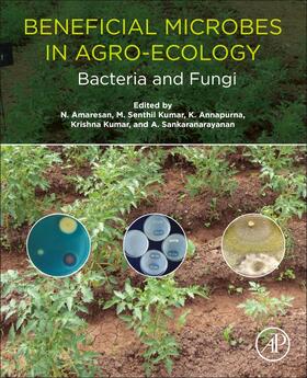 Amaresan / Senthil Kumar / Annapurna |  Beneficial Microbes in Agro-Ecology | Buch |  Sack Fachmedien