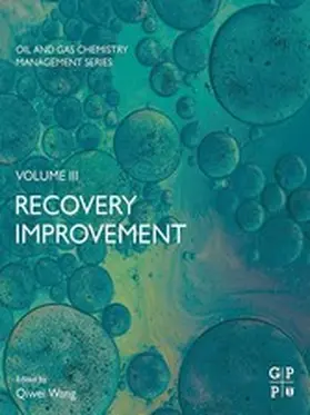 Wang |  Recovery Improvement | eBook | Sack Fachmedien