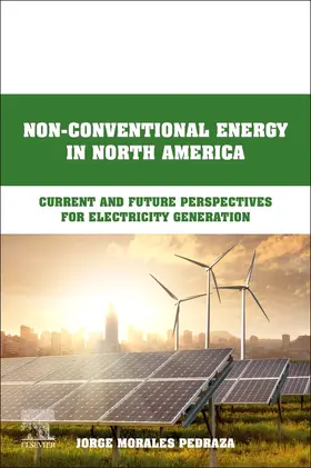 Morales Pedraza |  Non-Conventional Energy in North America | Buch |  Sack Fachmedien