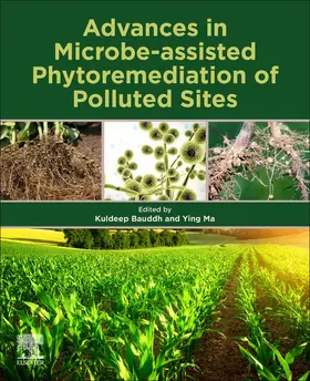 Ma |  Advances in Microbe-assisted Phytoremediation of Polluted Sites | Buch |  Sack Fachmedien