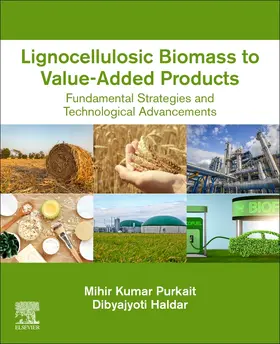 Purkait / Haldar |  Lignocellulosic Biomass to Value-Added Products | Buch |  Sack Fachmedien