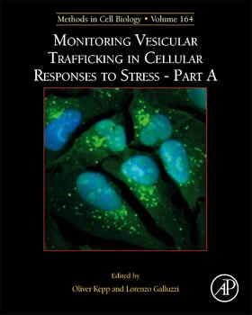  Monitoring Vesicular Trafficking in Cellular Responses to Stress | Buch |  Sack Fachmedien