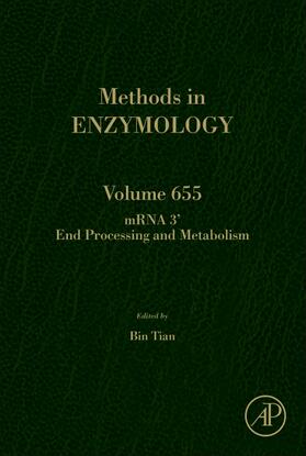  mRNA 3' End Processing and Metabolism | Buch |  Sack Fachmedien