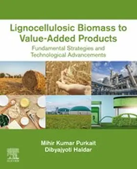 Purkait / Haldar |  Lignocellulosic Biomass to Value-Added Products | eBook | Sack Fachmedien