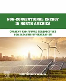 Morales Pedraza |  Non-Conventional Energy in North America | eBook | Sack Fachmedien