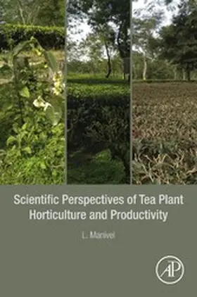 Manivel |  Scientific Perspectives of Tea Plant Horticulture and Productivity | eBook | Sack Fachmedien