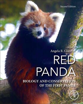 Glatston |  Red Panda | Buch |  Sack Fachmedien